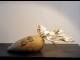 Aktuell im Angebot: Vase GINKGOBLATT, ArtNr. 6076